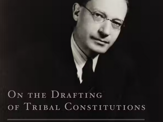 On the Drafting of Tribal Constitutions book